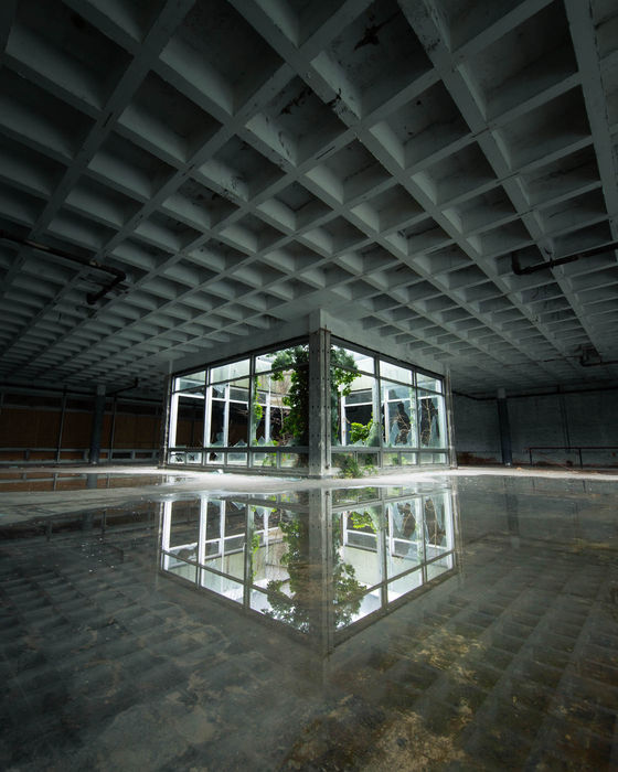 Beyond the Mirror