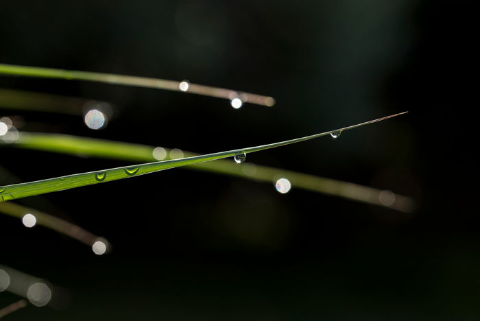 Flash #19 - Macro