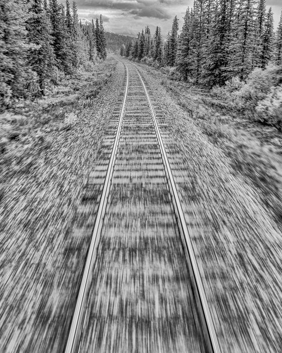 Tracks - James Knauf
