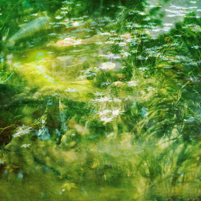 Photograph by Atsumi Takemoto, 20 of 20