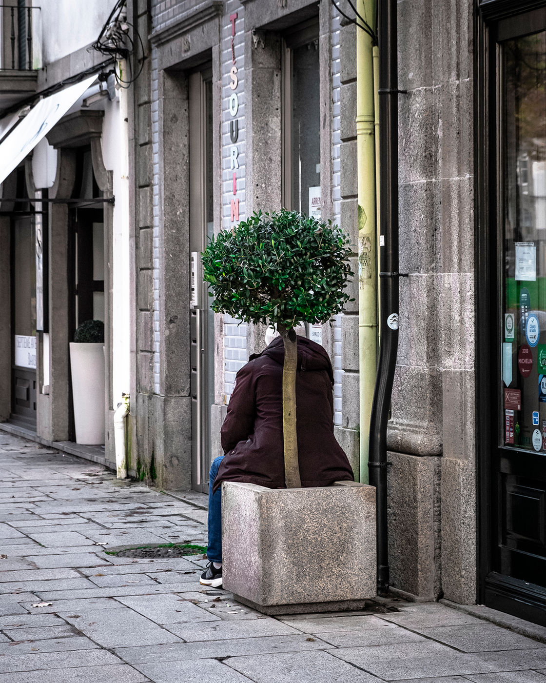 The Bush Man by Jorge Ferreira