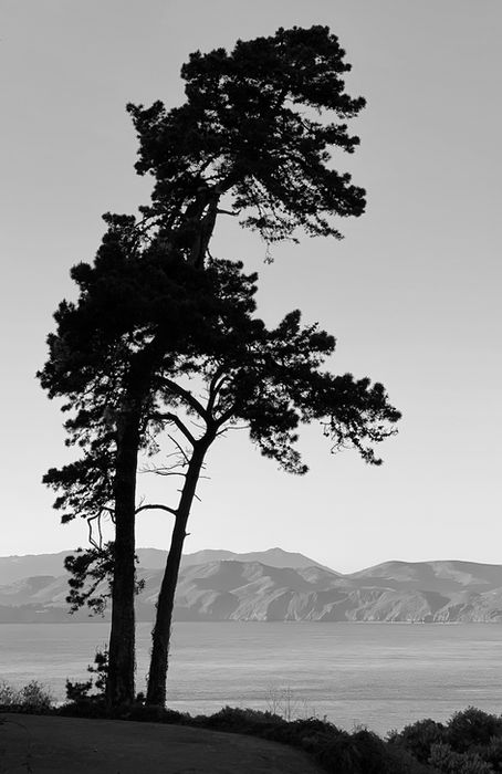 Photograph by Andy Charnas, 17 of 18