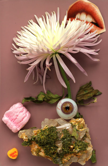 MONIKA MALEWSKA (Huntingdon, Pennsylvania) - GERBERA FLOWER AND A GLASS EYE