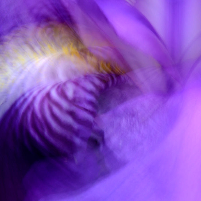Luca Scarpelli (Foiano della Chiana, Italy) - ABSTRACT NATURE 47