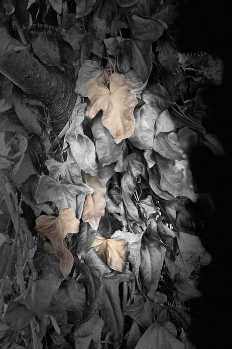 Found Objects