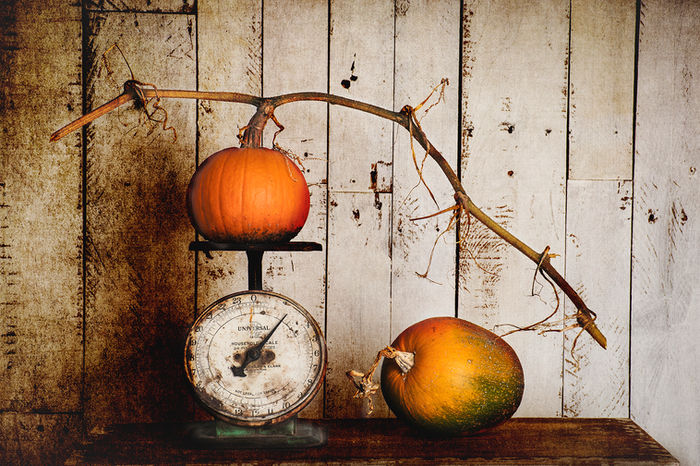 NORMA WARDEN (Auburn, Maine) - PUMPKINS