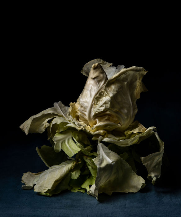 Christoph Honig