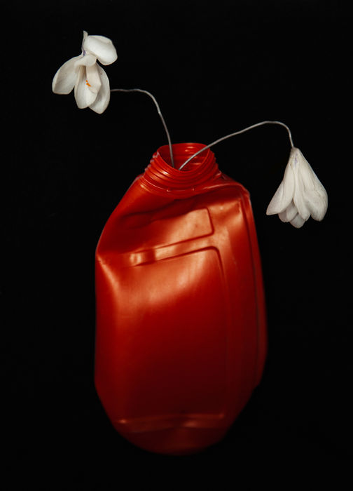 YULIA KAPUSTYNSKA (Kyiv, Ukraine) - FLOWERS & PLASTIC 1