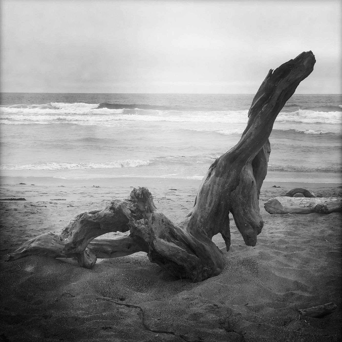 Declining Nude by Sena Clara Creston