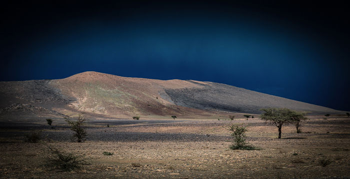 Sahara