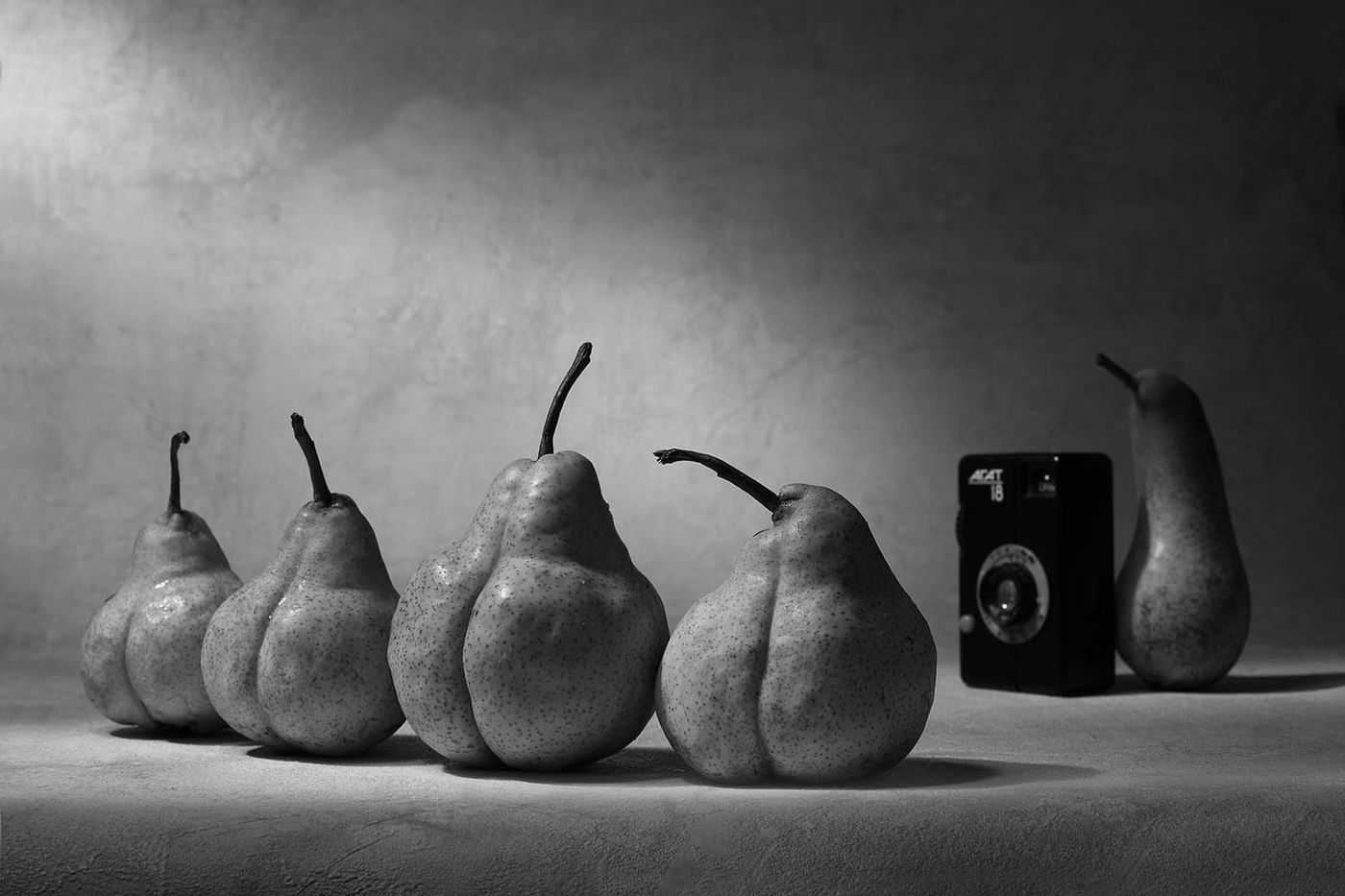 The Photographer by Victoria Glinka