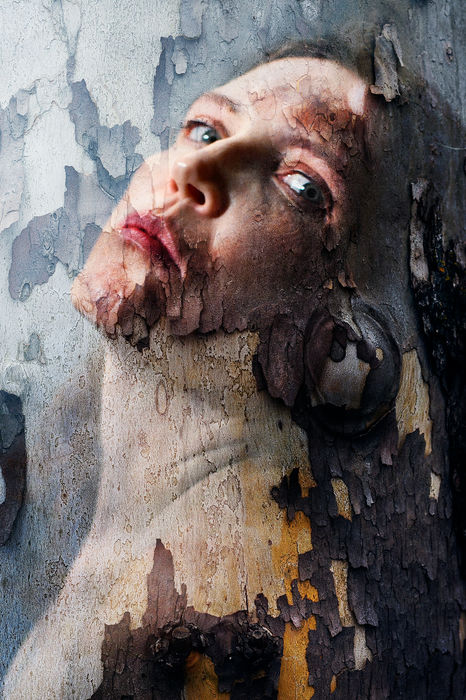 Shannon Maltbie-Davis (USA) - Rooted