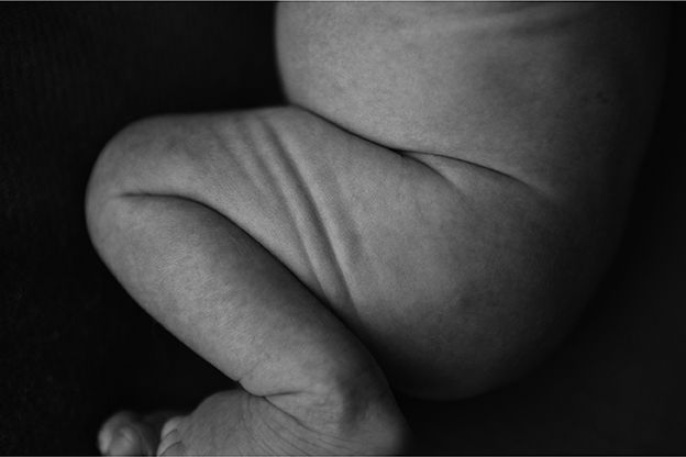Olena Ponomarova - Lines