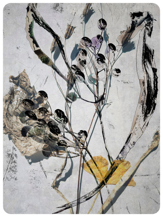 Botanicals