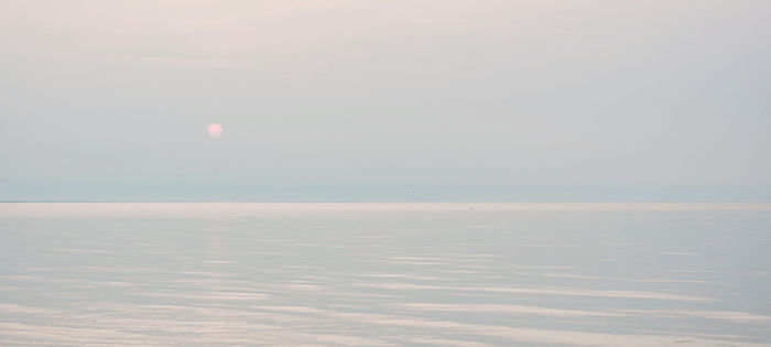 MYROSLAVA KARPYSHYN (Chicago, Illinois) - SUNRISE