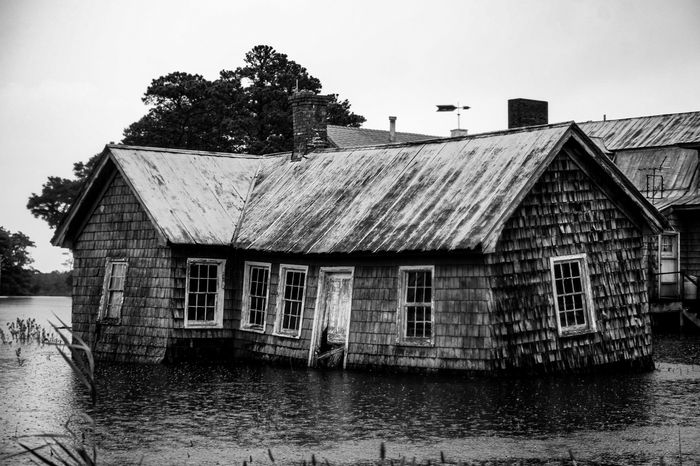 Lindy Brooks (Norfolk, VA) - Flood Gates