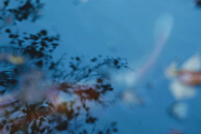 Photograph by Atsumi Takemoto, 15 of 20