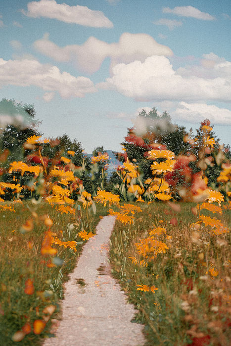Juleah Claar (Waedenswil, Switzerland) - Meadow Daydream