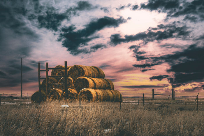 Kylo Patrick-Hart (Aledo, TX) - Bales at Sunrise