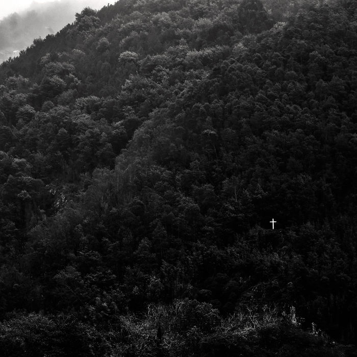 Maksym Romenskyi - Enchanted Forest
