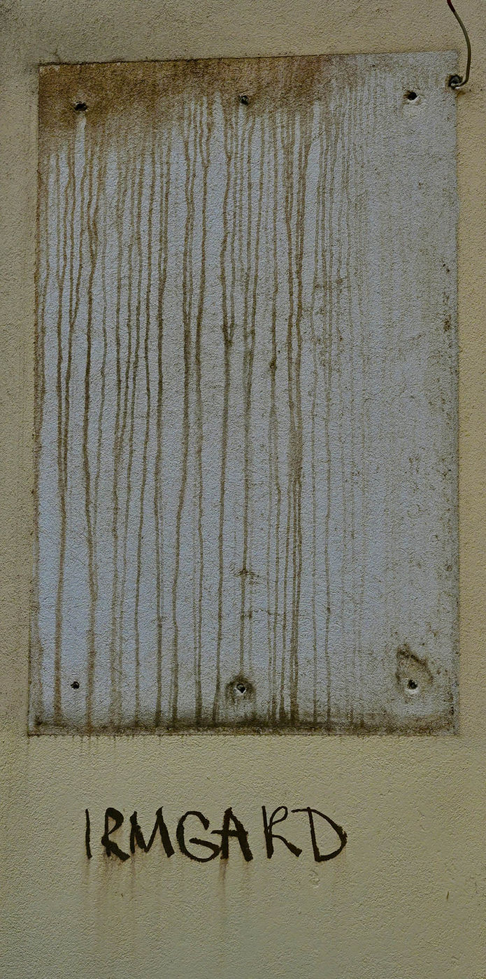 Photograph by Max Cavitch, 11 of 23