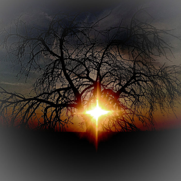JINDŘIŠKA KUČEROVÁ (Hrochův Týnec, Czech Republic) - Poslední paprsky (Last rays)