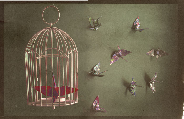 Angela Wells - Caged