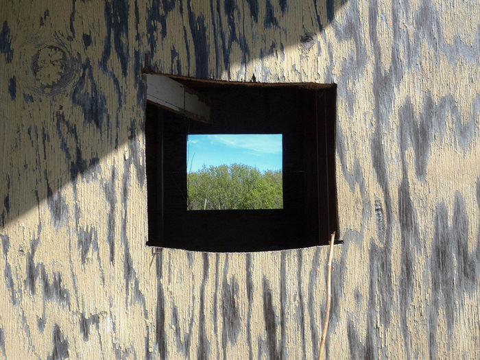 Beyond the Mirror