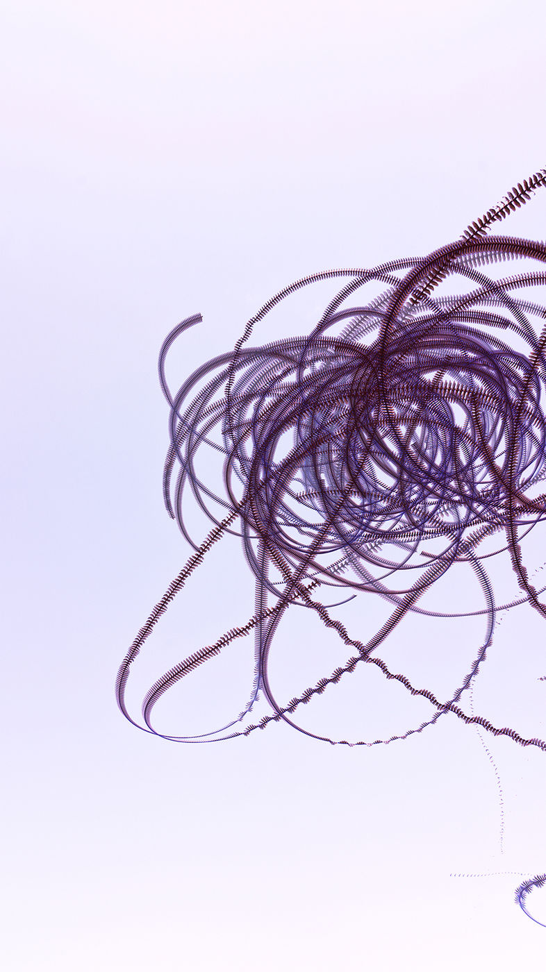 Tangled Motion by Robb Reece