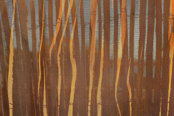 Patterns in the Wild