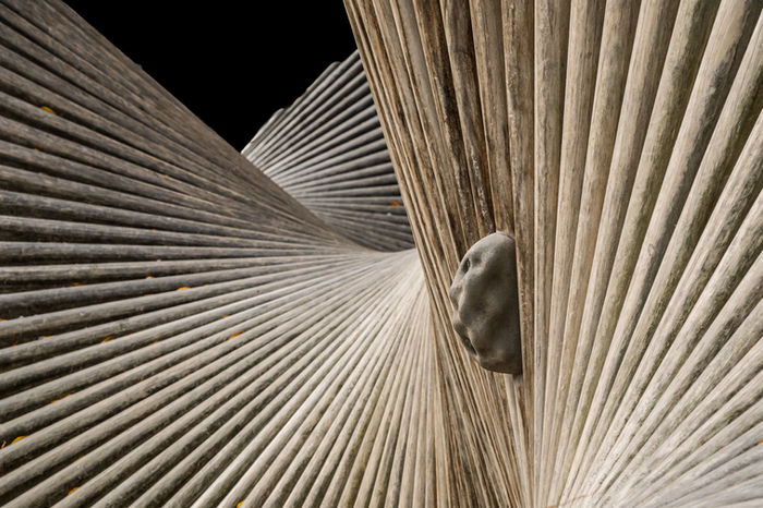 Nicole Mordecai (Weston, MA) - Wooden Wave