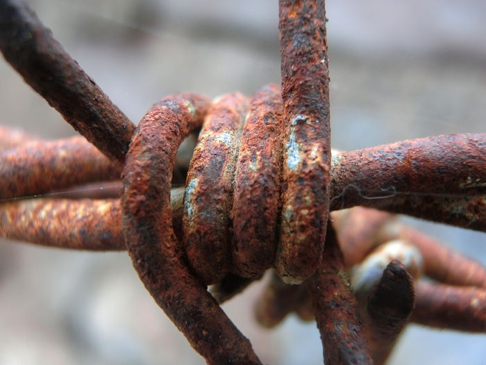 EMILIO VIEITES AGUIAR (Murcia, Spain) - FREEDOM KNOTS