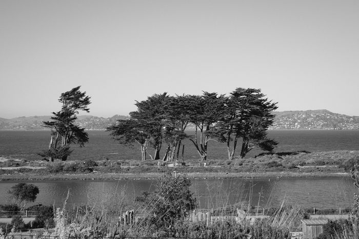 Photograph by Andy Charnas, 4 of 18