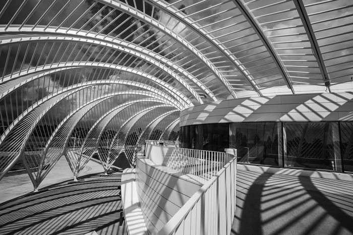 Curves and Shadows