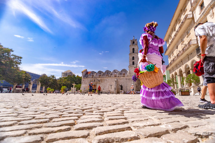 Theresa Muth - Havana Square