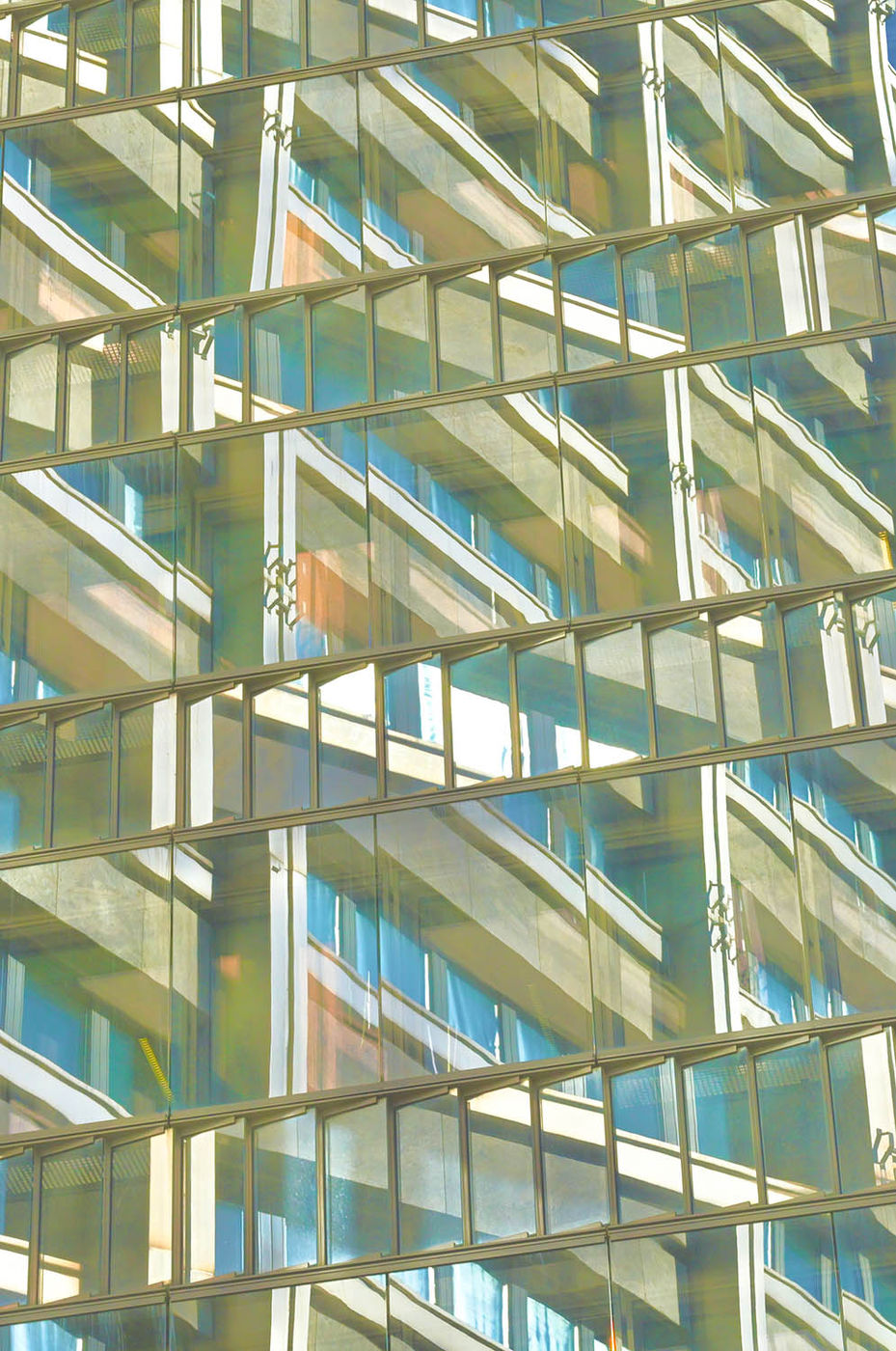 Photograph by Max Cavitch, 14 of 23