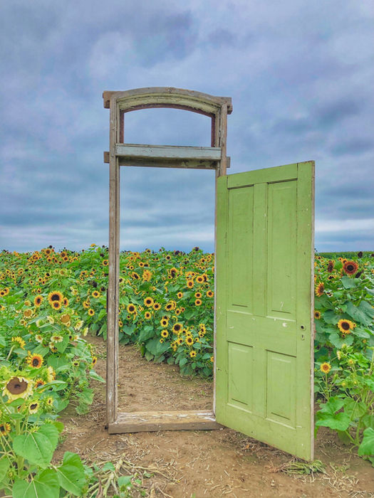 Stefanie Boss - Nature's Open Door Policy
