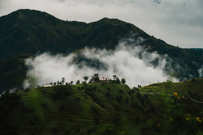 Landscapes