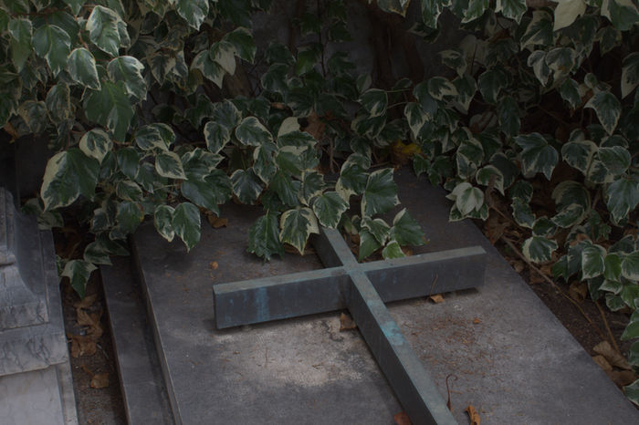 Places and Spaces