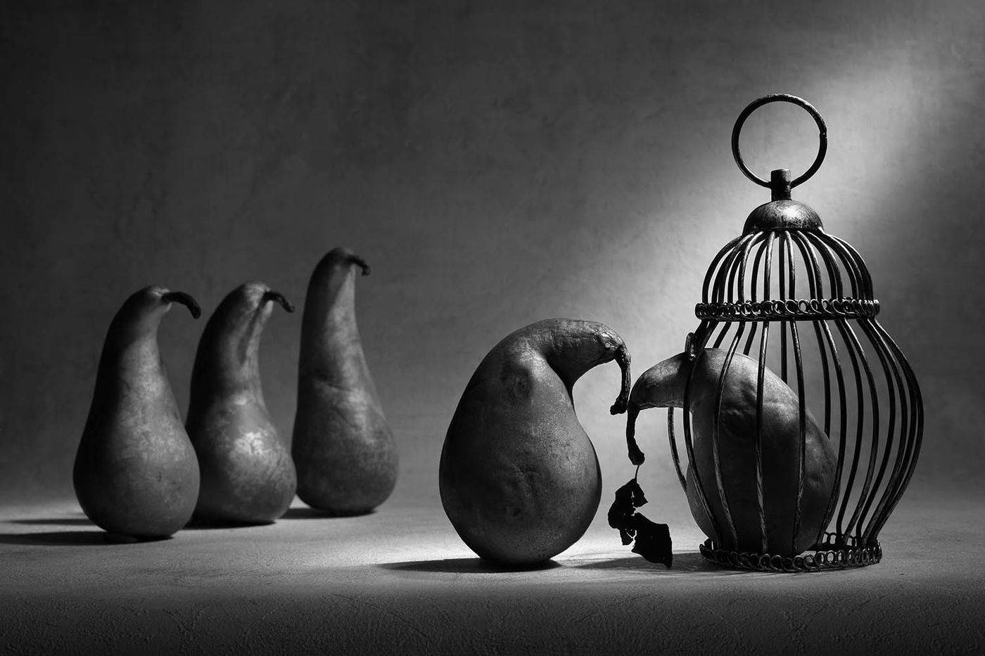 The Political Prisoner by Victoria Glinka