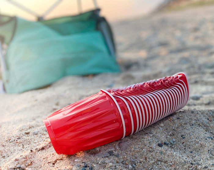 Lisa Lillibridge - after the beach party