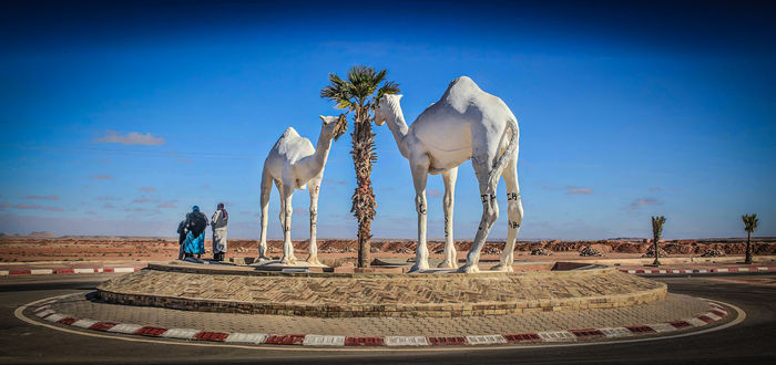 Sahara