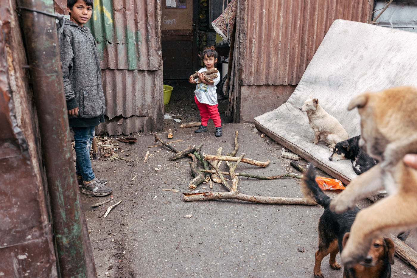 The Girl With the Wood by Manuela Federl