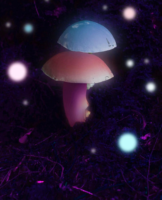 Dreamscapes