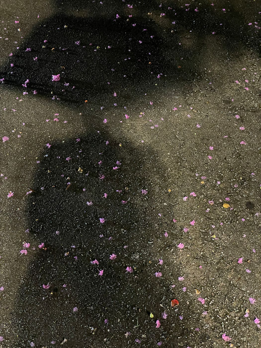 Patterns in the Wild