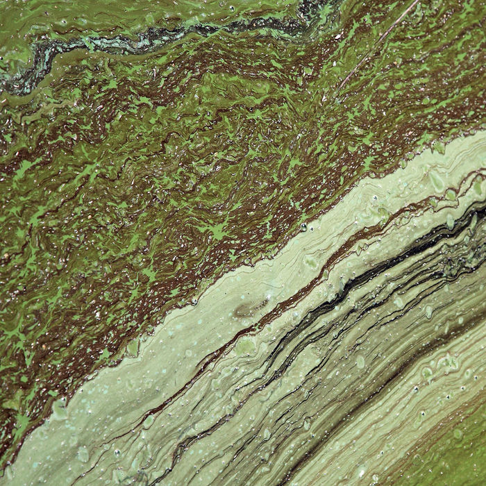 Photograph by Artur Jastrzębski, 2 of 4