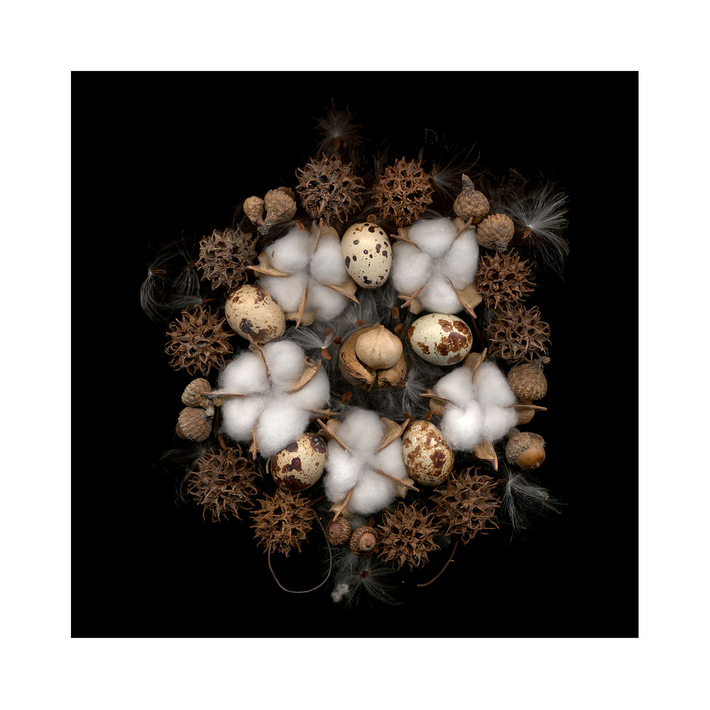 Seeds of Hope by Debra Burger