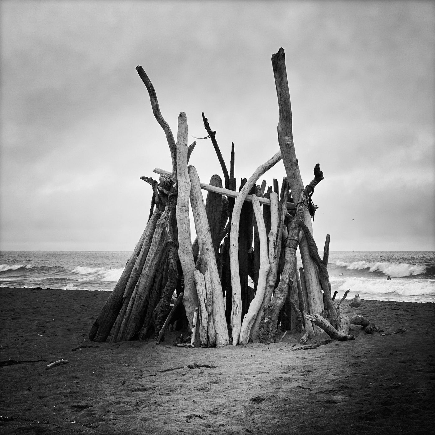 Leaning Left by Sena Clara Creston