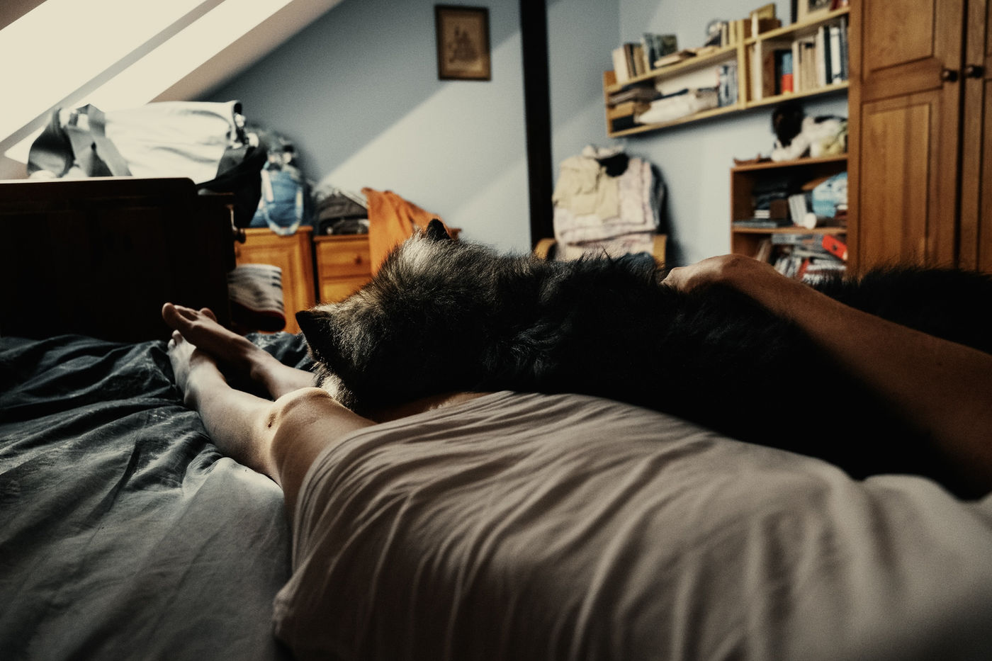 She and Her Dog by Seb Szczepanowski - Kingdoms