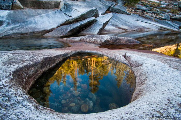 Misha Rauchwerger - Clavey "O" Reflection